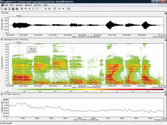 lingWAVES voice spectrography realtime